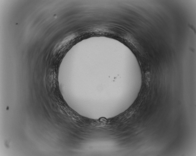 X0000102351111200808221647