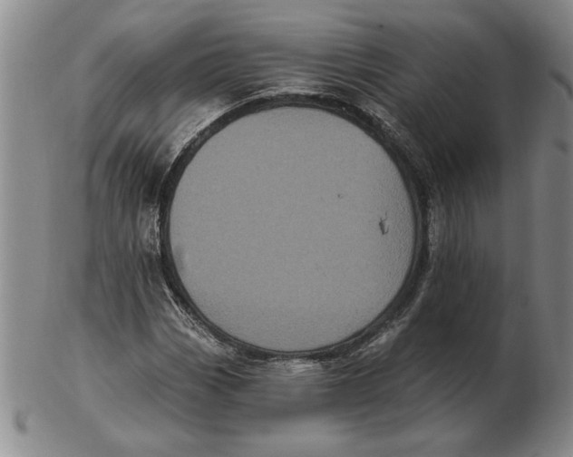 X0000102351113200808221647