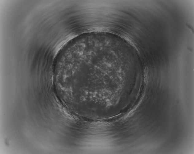 X0000102351117200808221647