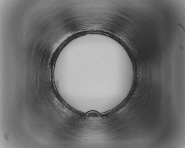 X0000102351118200808221648