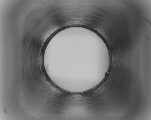 X0000102351119200808221648