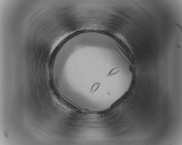 X0000102351120200808221648