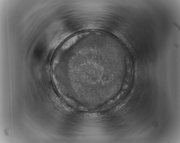 X0000102351121200808221648