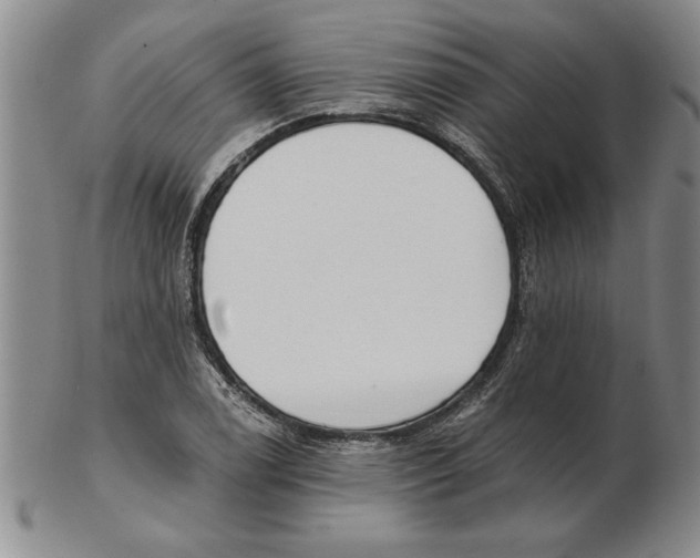 X0000102351122200808221648