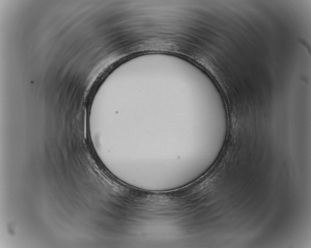 X0000102351123200808221648