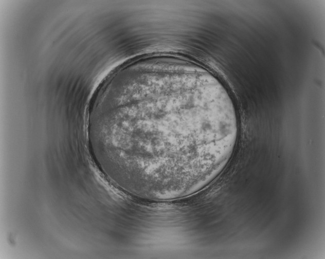 X0000102351124200808221648