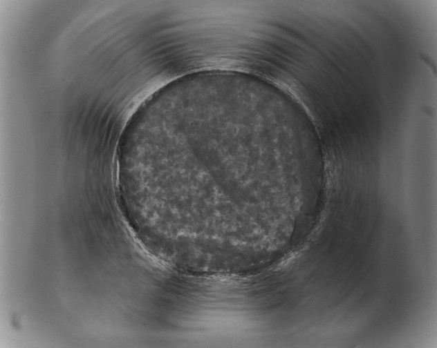 X0000102351125200808221648