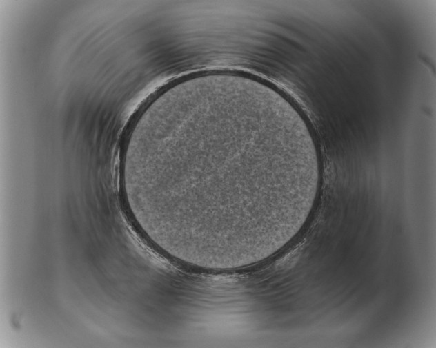 X0000102351126200808221648