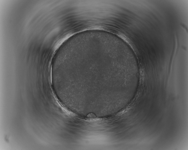 X0000102351127200808221648