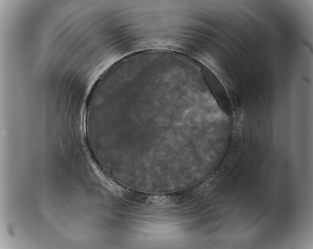 X0000102351128200808221648