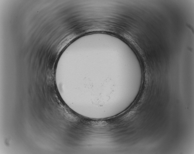 X0000102351129200808221648