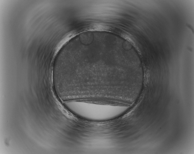 X0000102351130200808221648