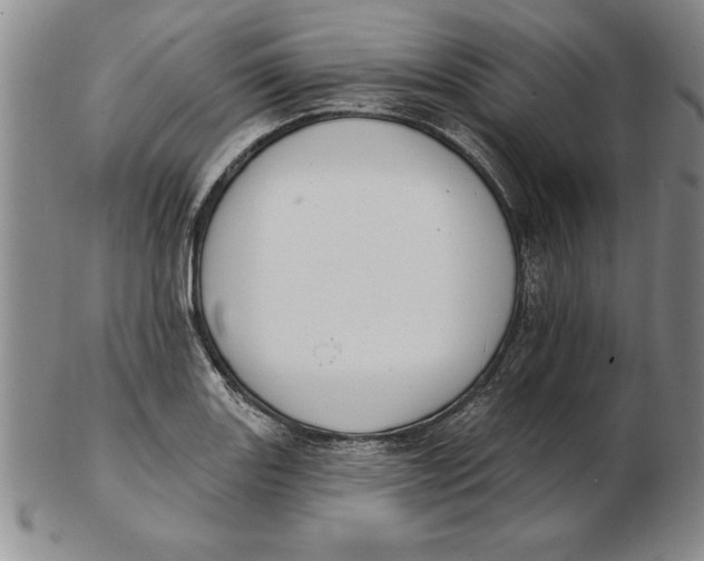 X0000102351131200808221648