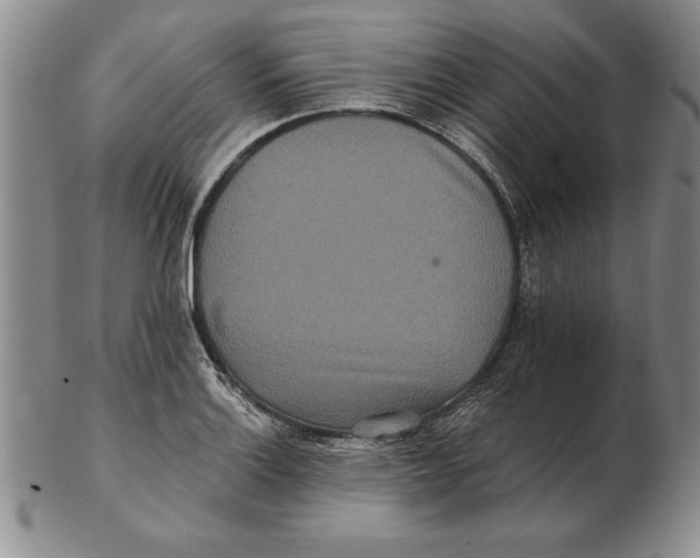 X0000102351132200808221648