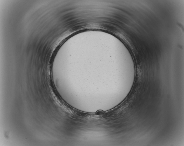 X0000102351133200808221648