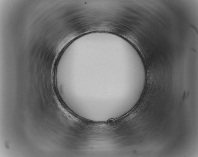 X0000102351135200808221648