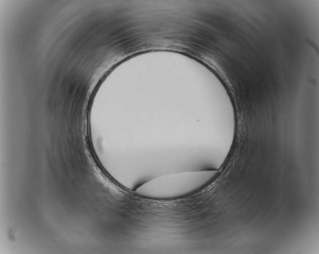 X0000102351136200808221648