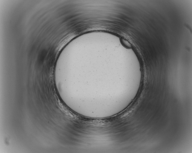 X0000102351137200808221648