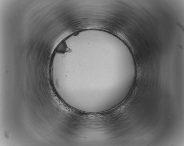 X0000102351138200808221648