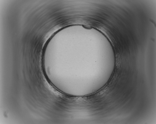 X0000102351139200808221648