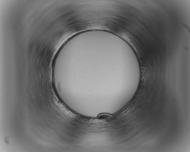 X0000102351140200808221648