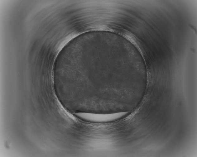 X0000102351141200808221648