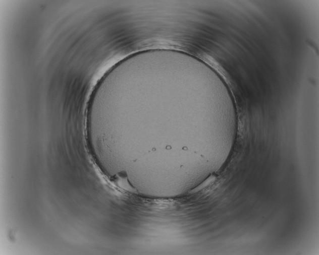 X0000102351144200808221648