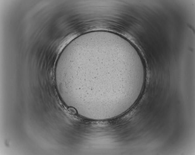 X0000102351145200808221648