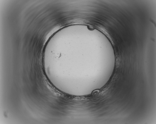 X0000102351146200808221648