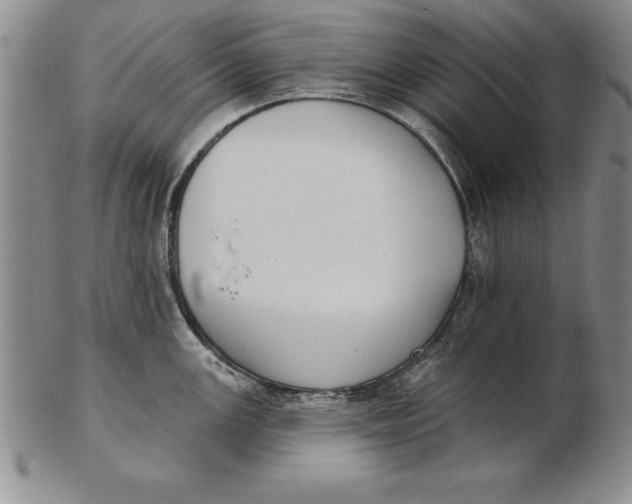 X0000102351147200808221648