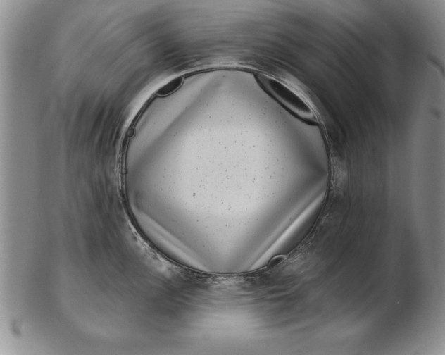 X0000102351148200808221648