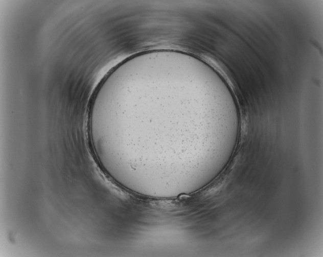 X0000102351149200808221648