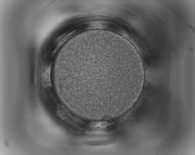 X0000102351150200808221648