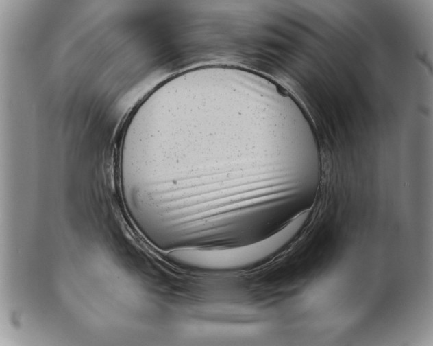 X0000102351151200808221648