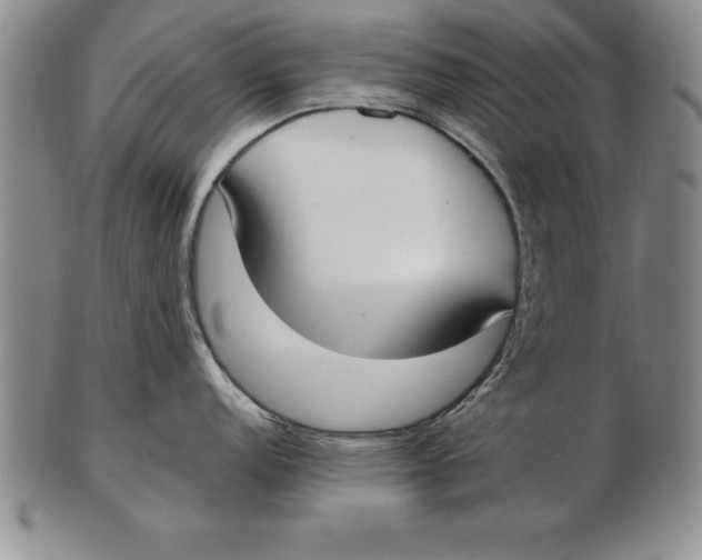 X0000102351152200808221648