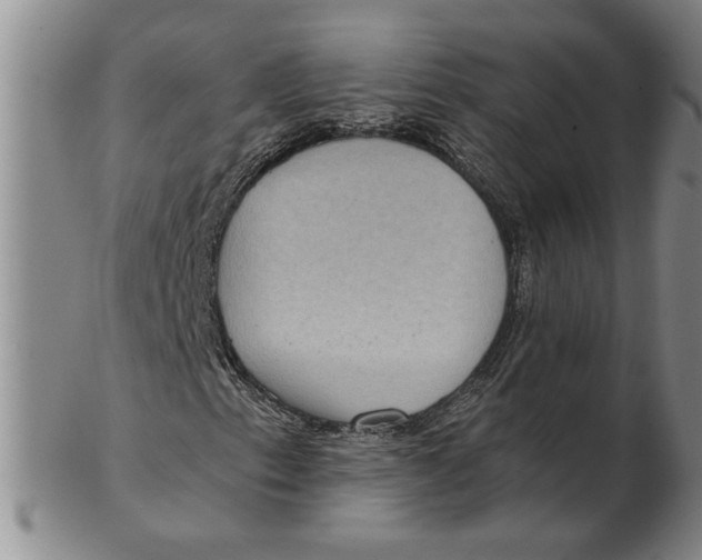 X0000102351153200808221647