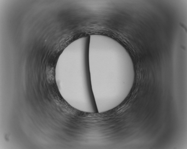 X0000102351156200808221647