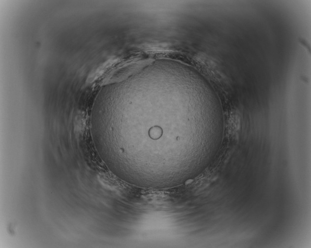 X0000102351157200808221647