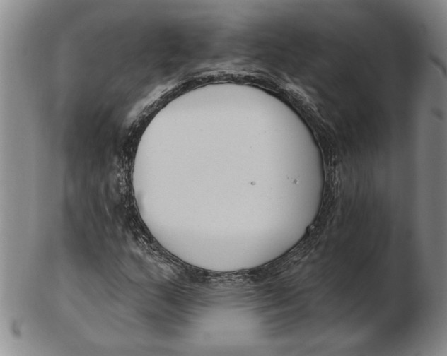 X0000102351159200808221647