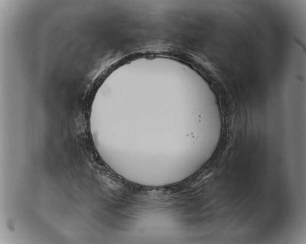 X0000102351160200808221647