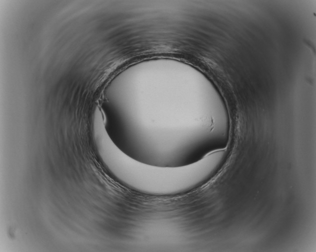 X0000102351161200808221647