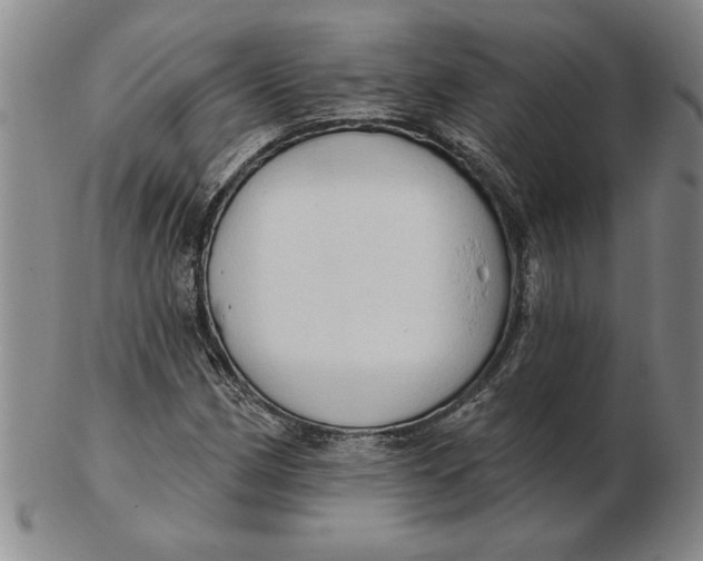 X0000102351162200808221647