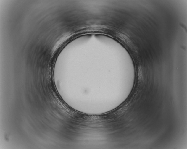 X0000102351164200808221647