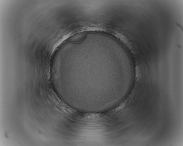 X0000102351165200808221647