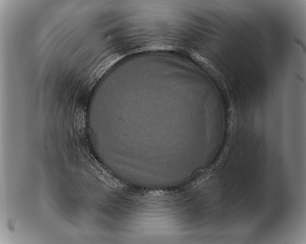 X0000102351169200808221647