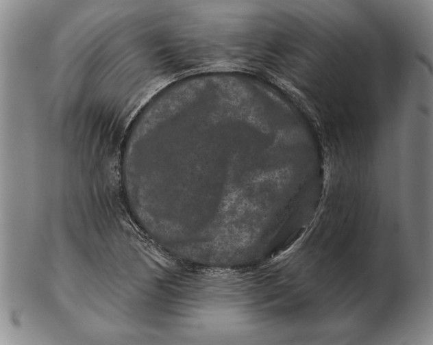 X0000102351170200808221647