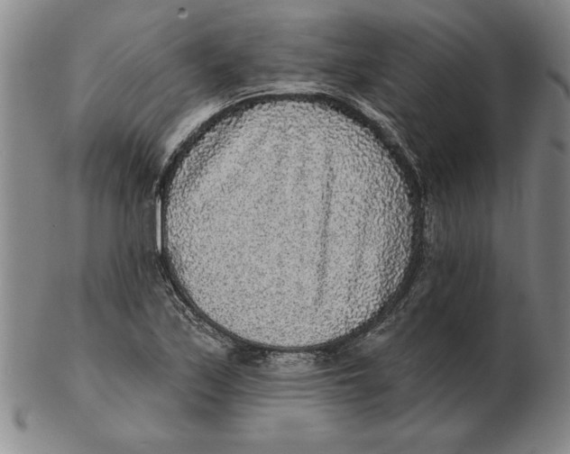 X0000102351171200808221647