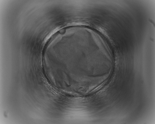 X0000102351173200808221647