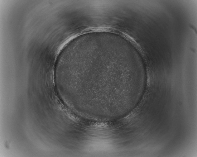 X0000102351174200808221647