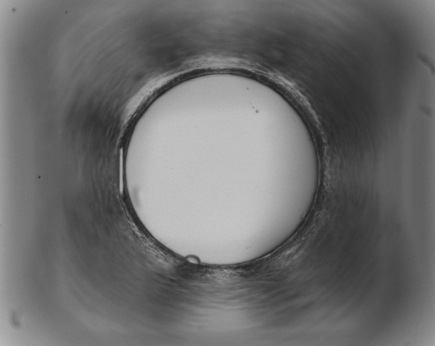 X0000102351175200808221647